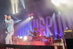 grinspoon-11